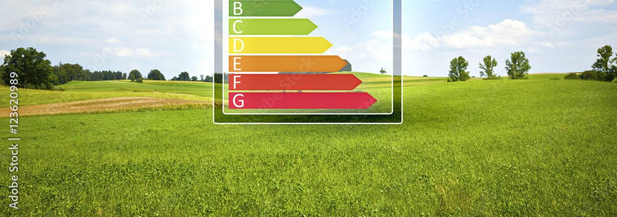 How to Create a More Energy Efficient Home: Tips and Strategies