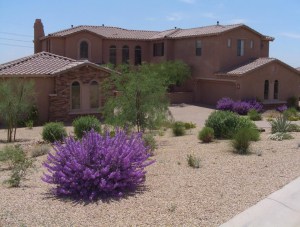 New Listing Coming Soon In Treviso