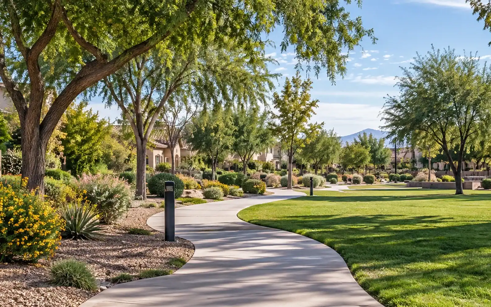 Chandler neighborhood home