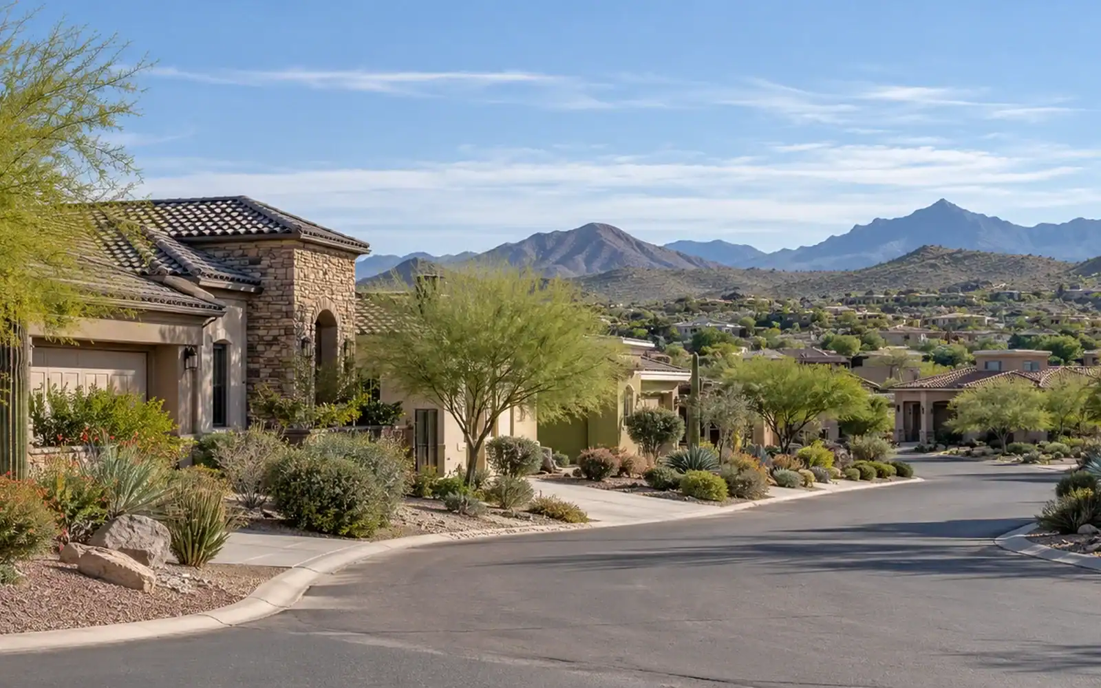 Winding residential street in a Fountain Hills neighborhood