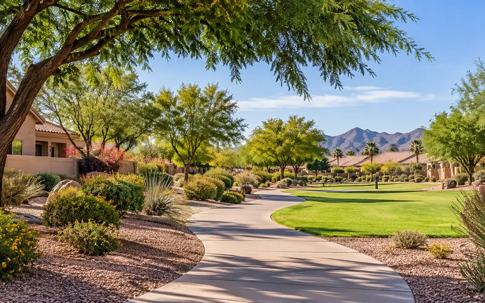 Mesa neighborhood home