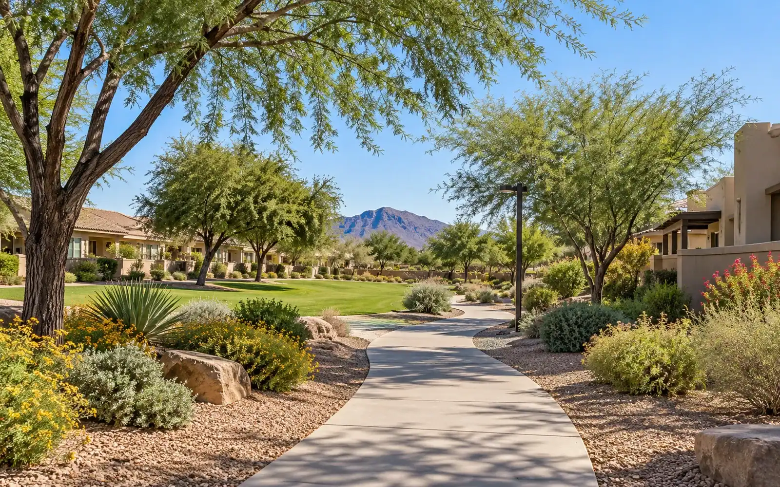 Phoenix neighborhood home